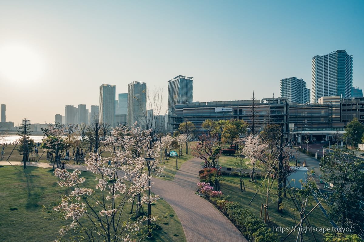 🌳 도요스 공원(豊洲公園) 이미지 4